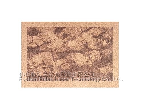 皮革激光(guāng)打标照(zhào)片